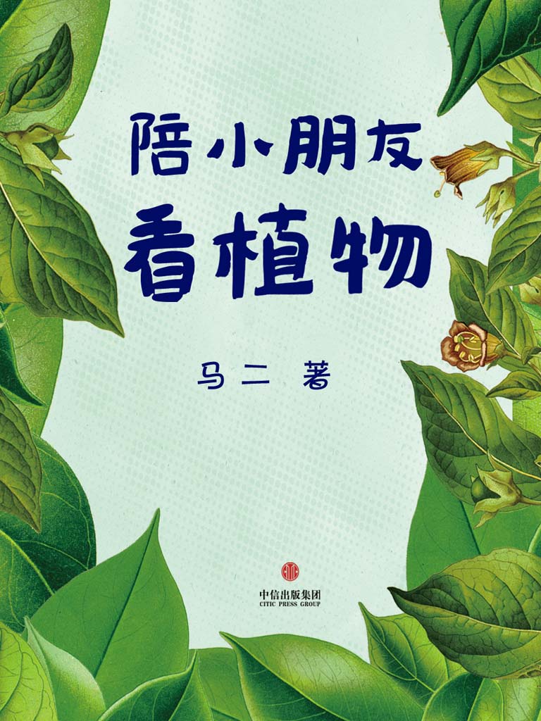 陪小朋友看植物（豆瓣“自然笔记”小组元老马二先生教小朋友认识植物）（中国故事）