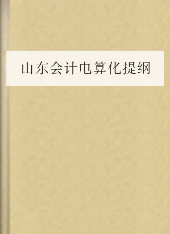 山东会计电算化提纲