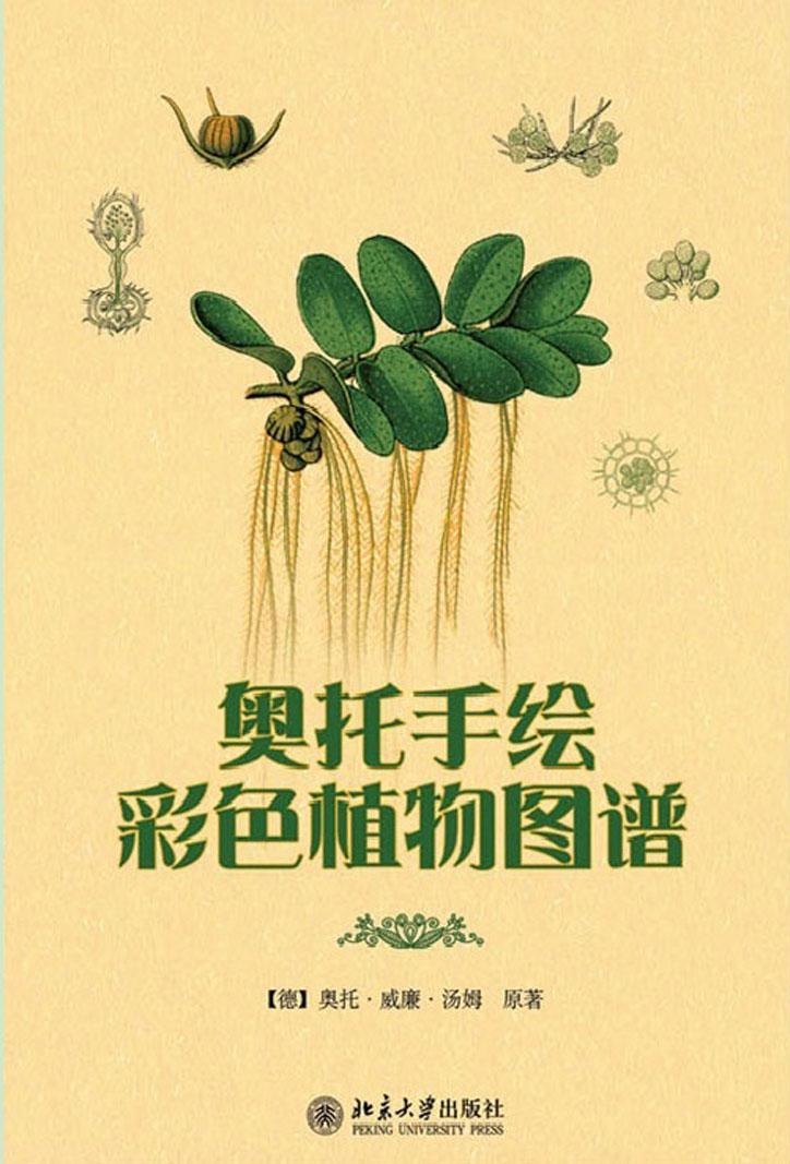 奥托手绘彩色植物图谱 (韩国学论丛)