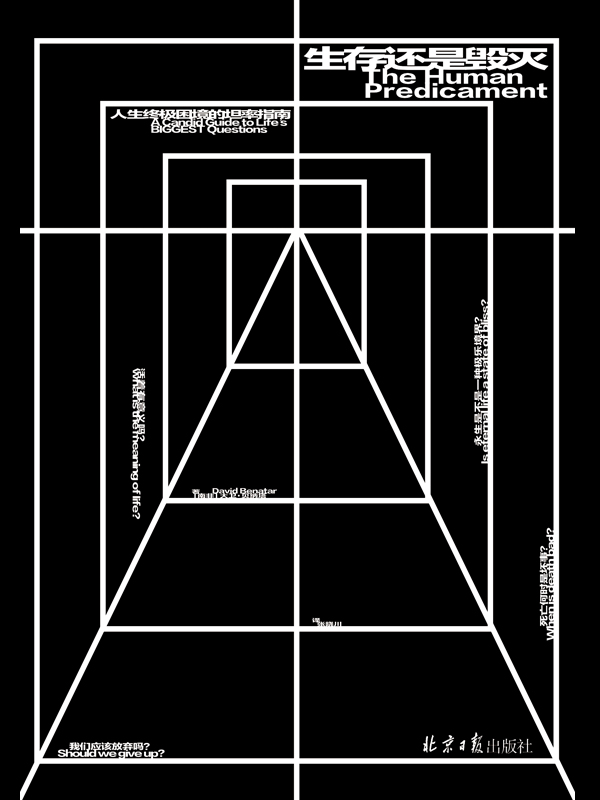 生存还是毁灭：人生终极困境的坦率指南（活着很糟，死也很糟？真实的人生境遇究竟怎样，又该怎样忠于自己、获得持久的内心宁静？ 理想国出品）