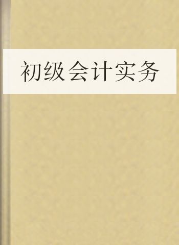 初级会计实务