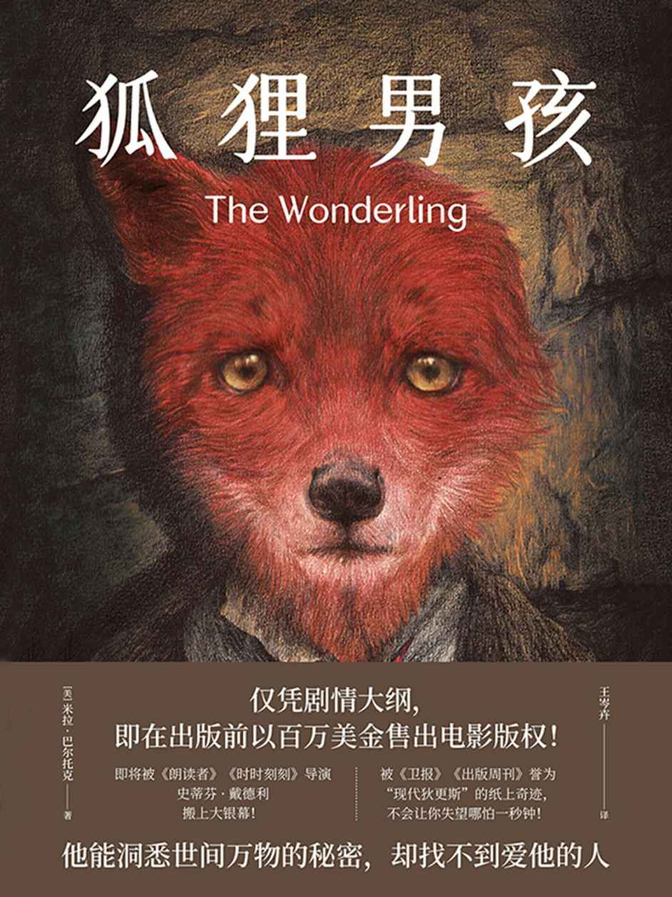 狐狸男孩(被《卫报》《出版周刊》誉为“现代狄更斯”的纸上奇迹，不会让你失望哪怕一秒钟！)