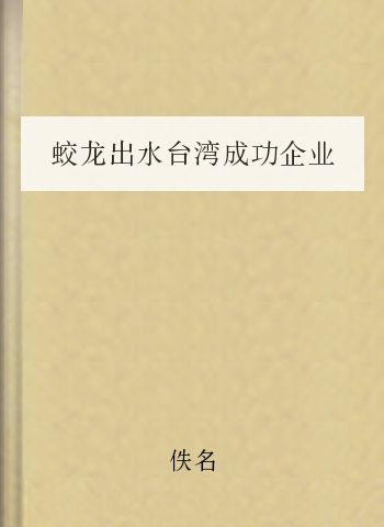 蛟龙出水台湾成功企业管理模式